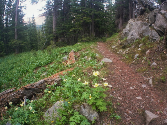 Baker Gulch Trail